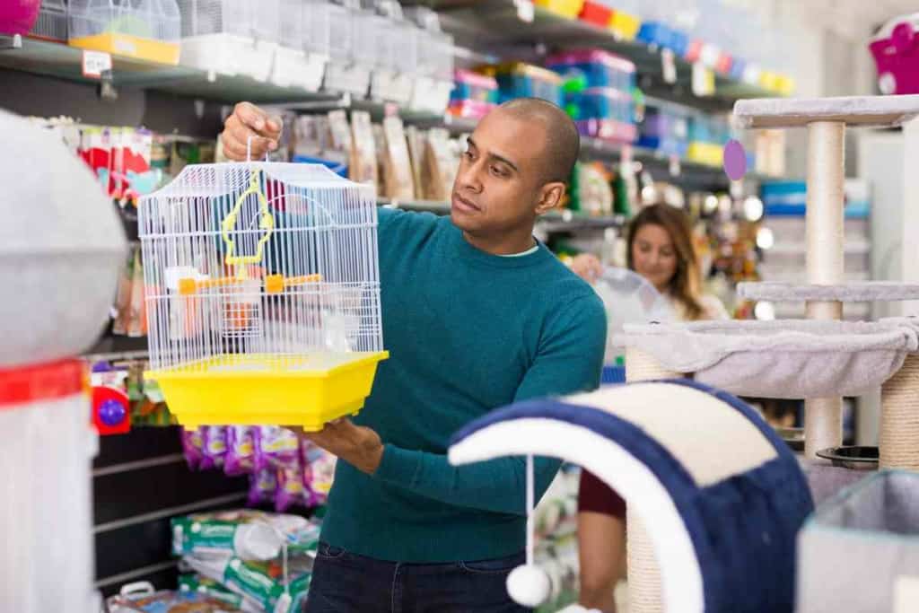 What does my Budgie need in their cage 1 Outfitting Your Budgie’s Cage: Everything You Need & Don’t Need!