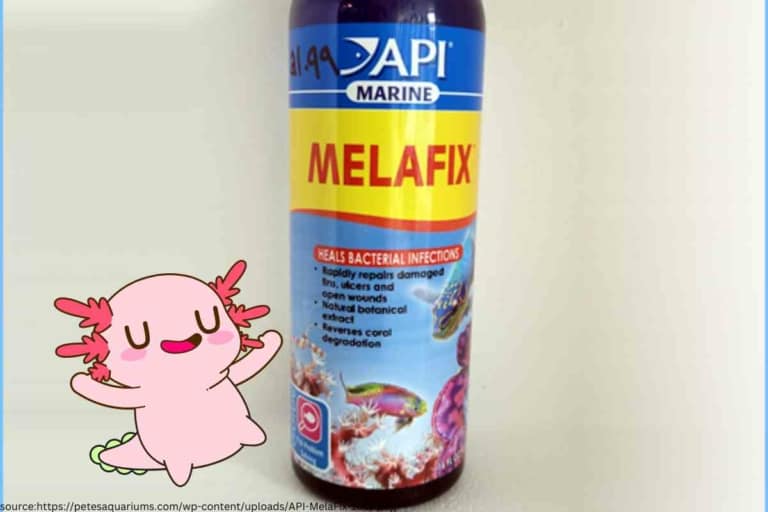 Is Melafix Safe For Axolotls? Know Before You Dose!