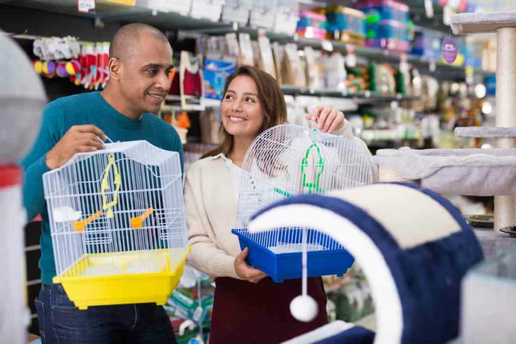 Petco Budgies 1 2 Petco Budgies: Are These Colorful Birds Available at Your Local Store?